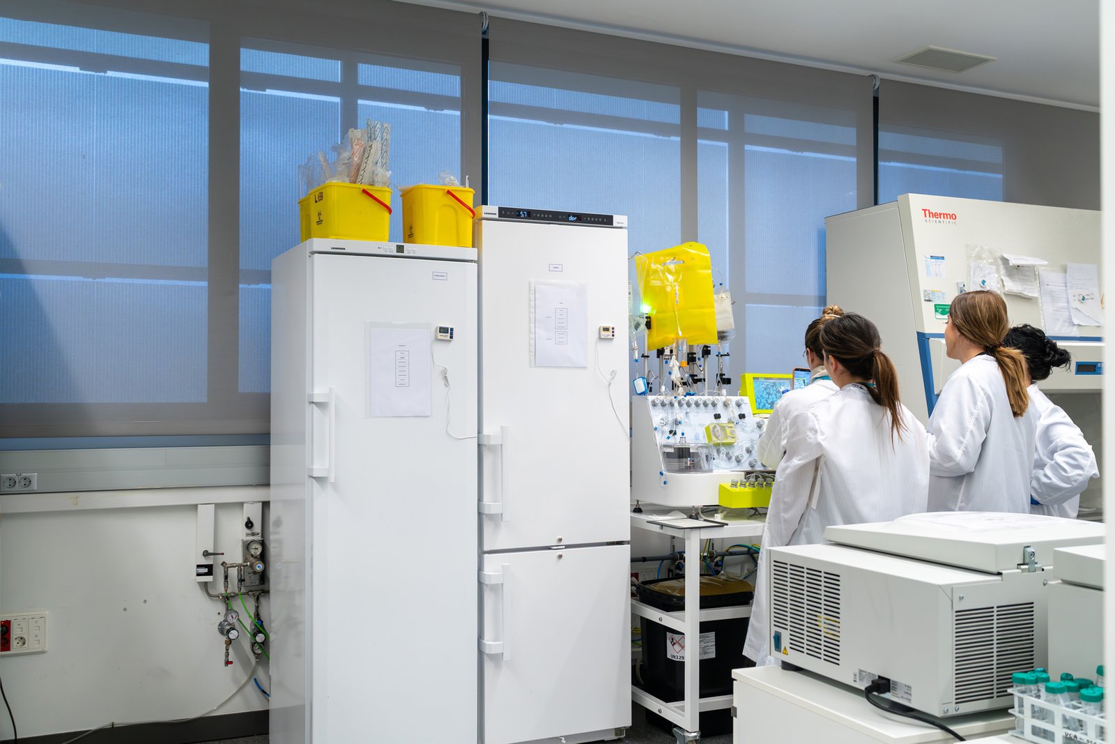 Molecular Analysis Unit