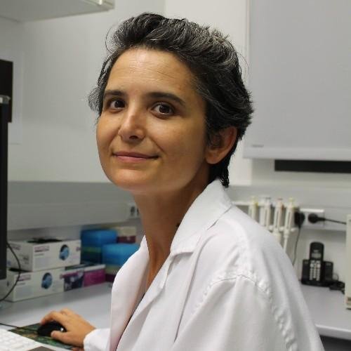 Dr. Verónica Ayllón, PhD